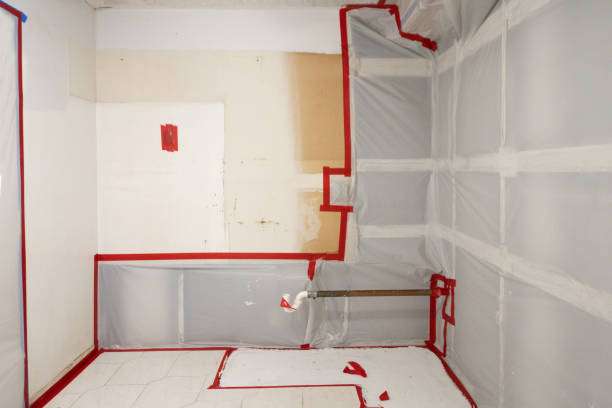 Best Biohazard Mold Removal  in Meadville, PA