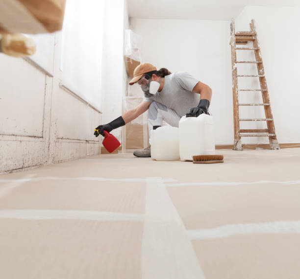Best Environmental Consulting for Mold Prevention  in Meadville, PA