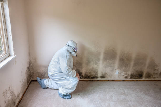 Best Post-Remediation Verification Testing  in Meadville, PA
